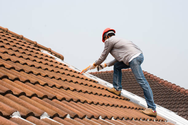 Best Metal Roofing Installation  in Monroe, MI
