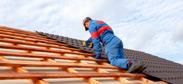 Best Roof Installation  in Monroe, MI