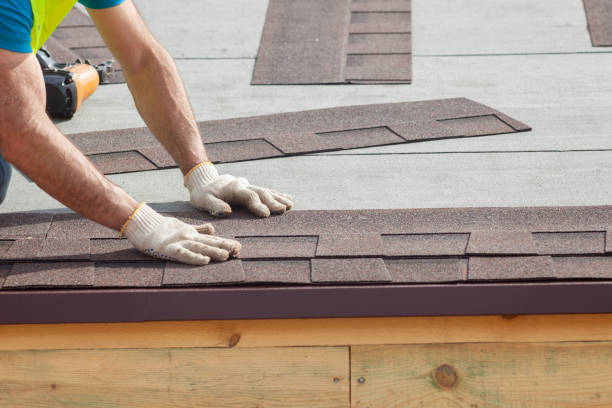Emergency Roof Repair in Monroe, MI